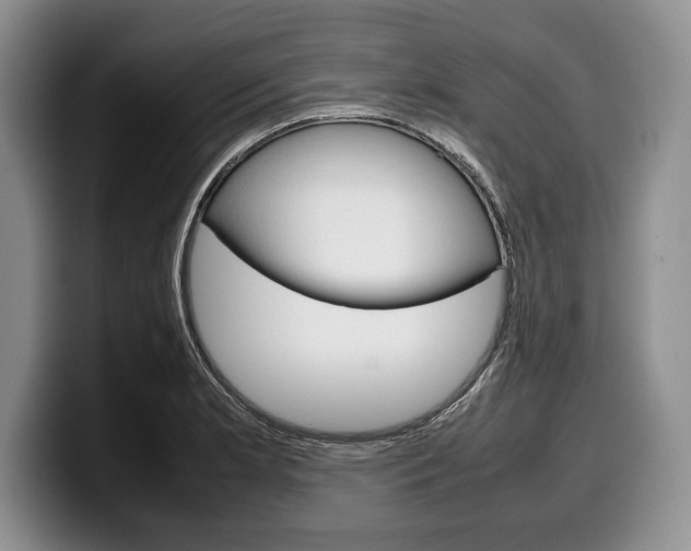 X0000100341181200806051218