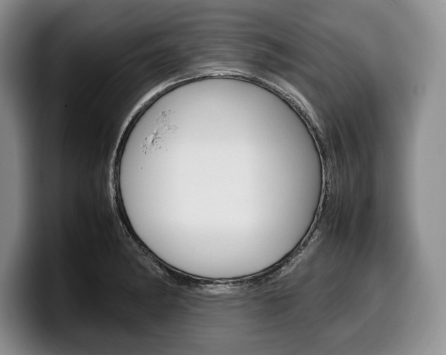 X0000100341182200806051218