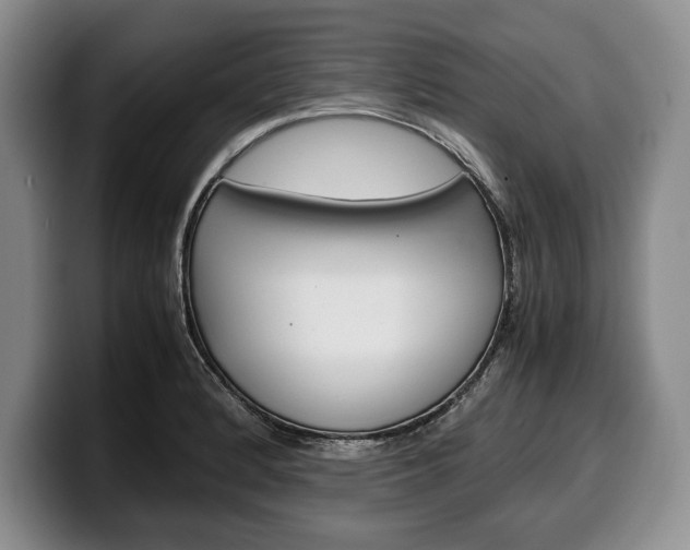 X0000100341184200806051218