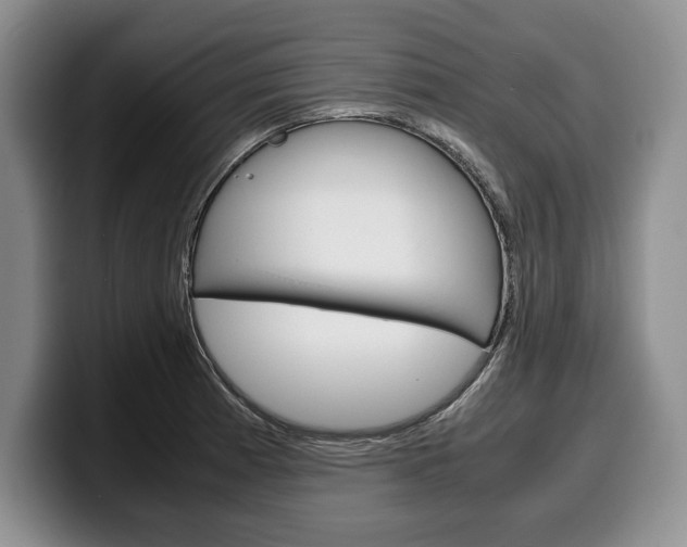 X0000100341185200806051218