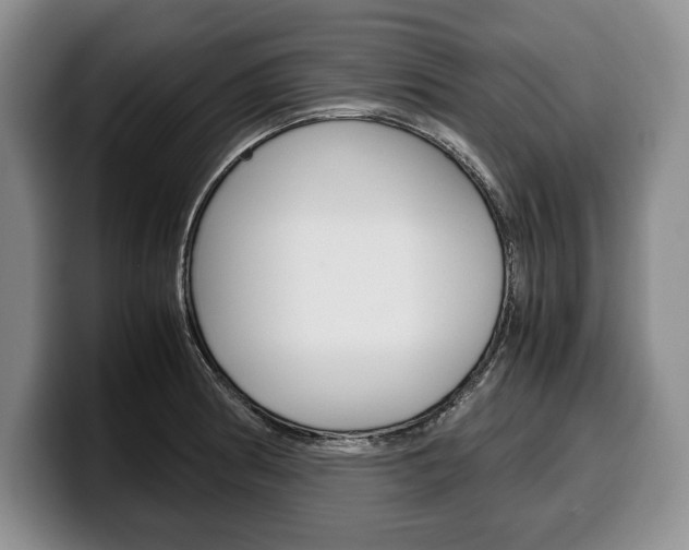 X0000100341186200806051218