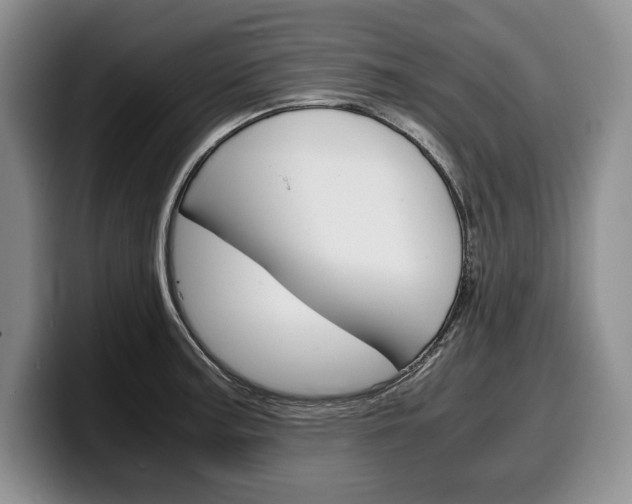 X0000100341187200806051218