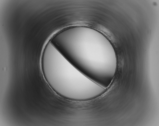 X0000100341188200806051218