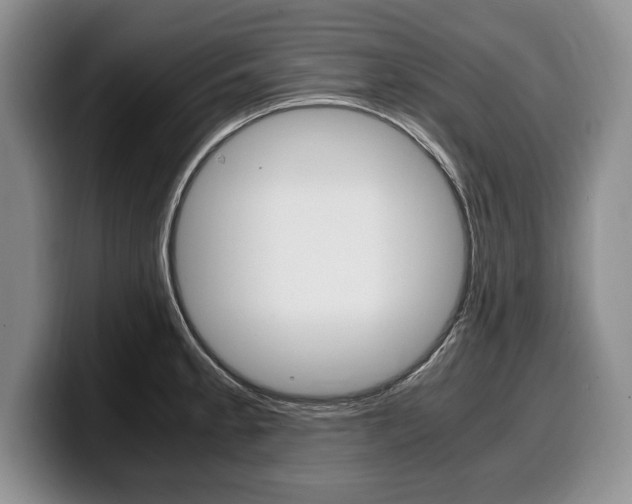 X0000100341189200806051218