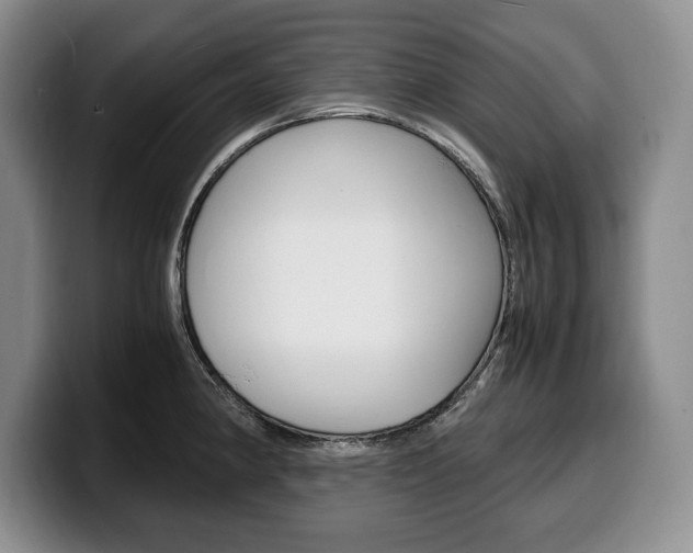 X0000100341190200806051218