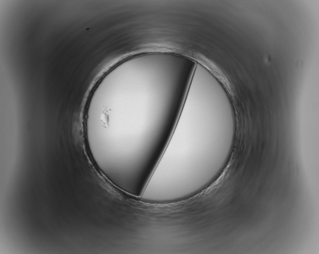 X0000100341192200806051218
