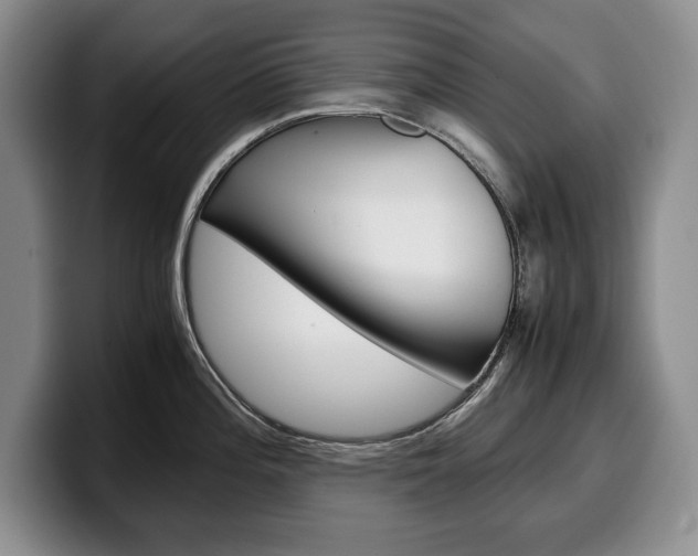 X0000100341196200806051218