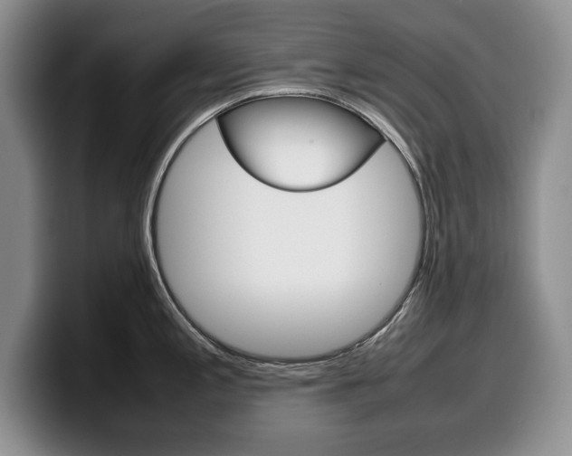 X0000100341197200806051218