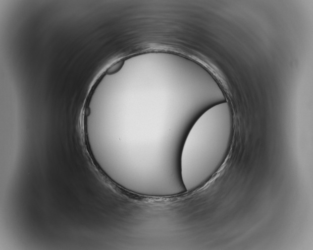 X0000100341198200806051218