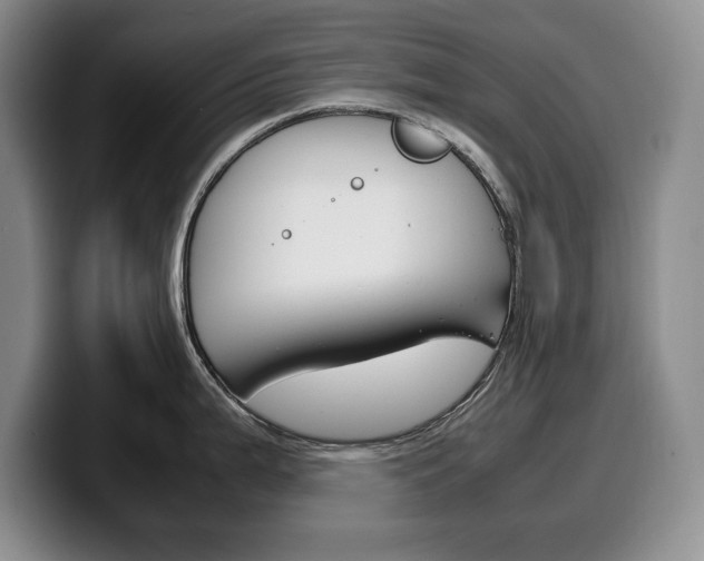 X0000100341199200806051218