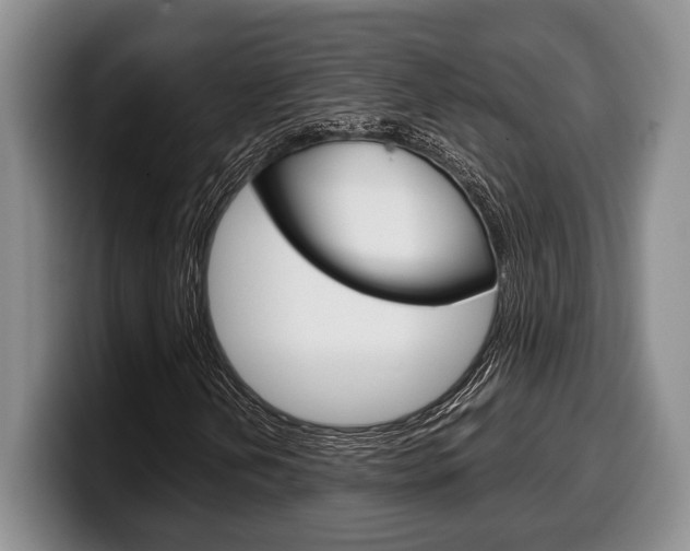 X0000100341202200806051217