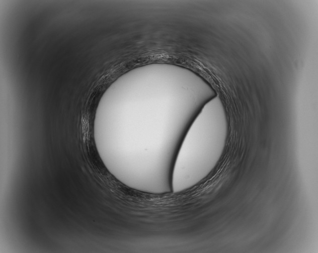 X0000100341203200806051217