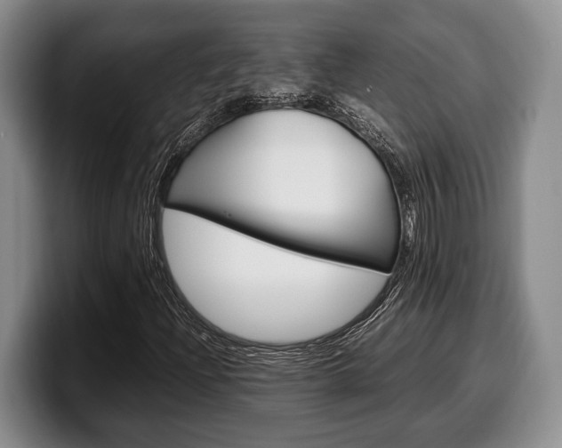 X0000100341204200806051217