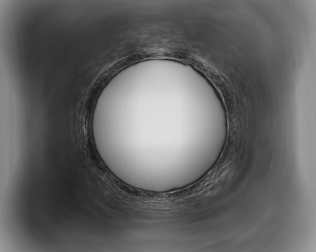 X0000100341206200806051217
