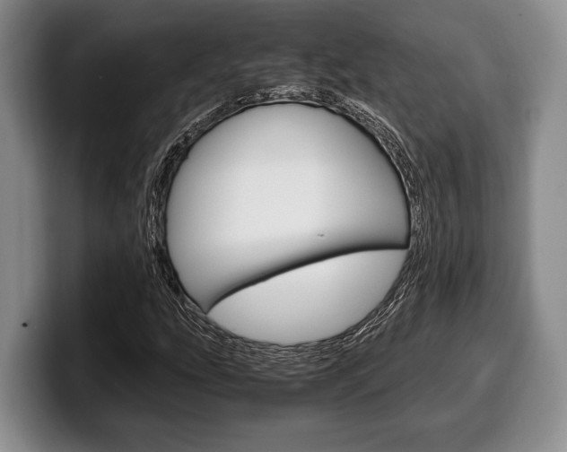 X0000100341207200806051217