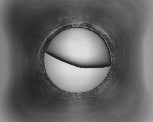 X0000100341208200806051217