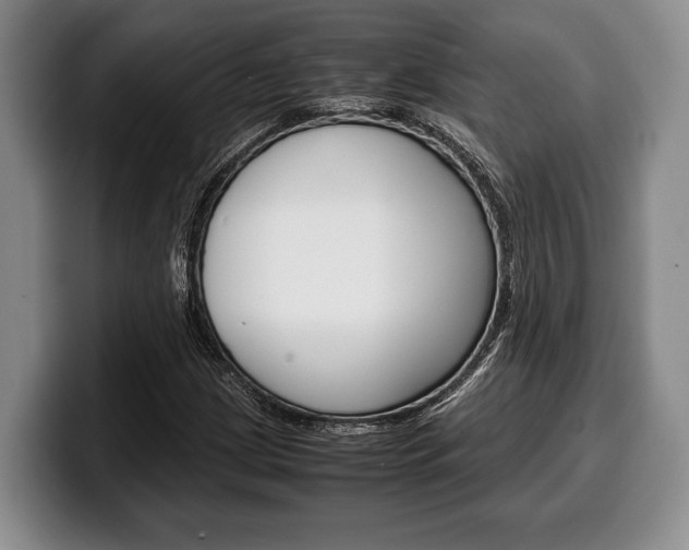X0000100341209200806051217