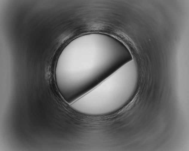 X0000100341210200806051218