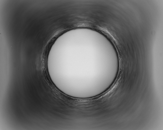 X0000100341211200806051218