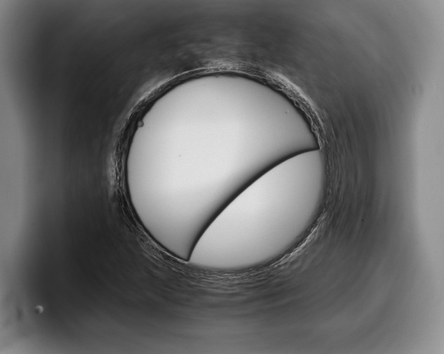 X0000100341215200806051218