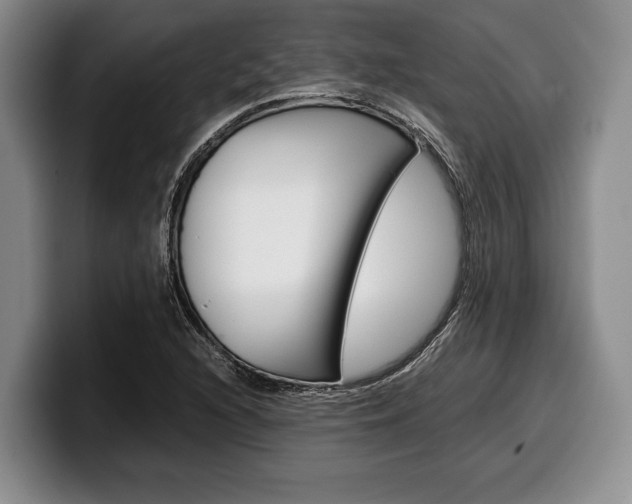 X0000100341216200806051218