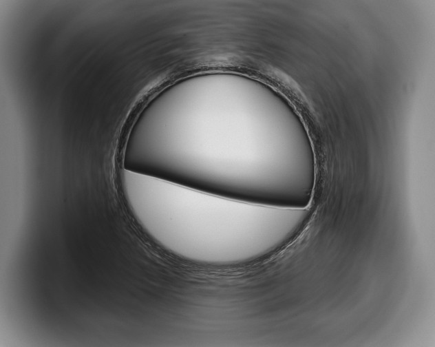 X0000100341218200806051218