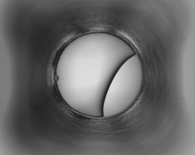 X0000100341219200806051218