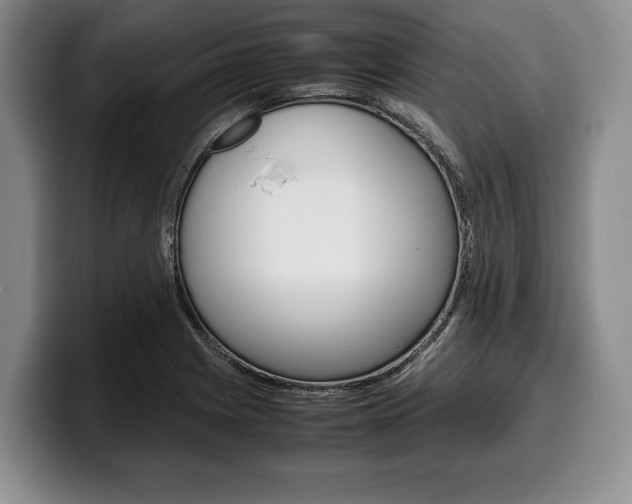 X0000100341225200806051218