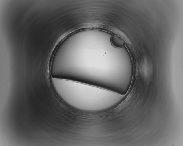 X0000100341226200806051218