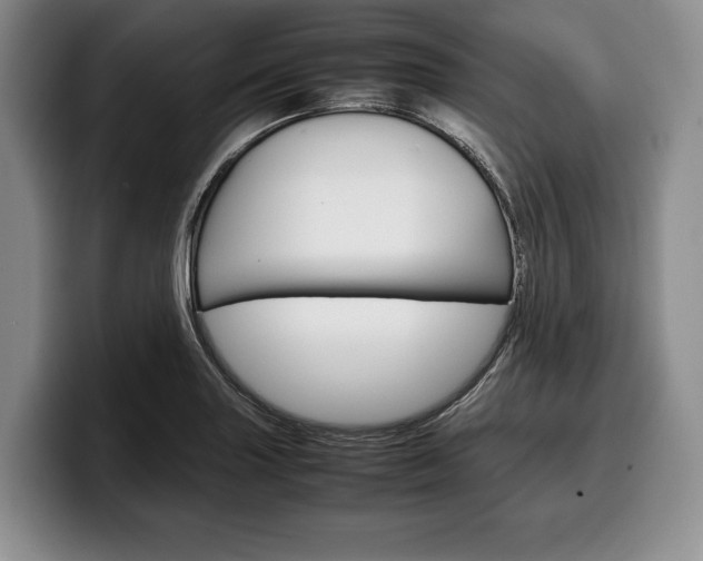 X0000100341227200806051218