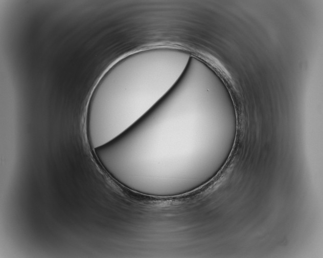 X0000100341228200806051218