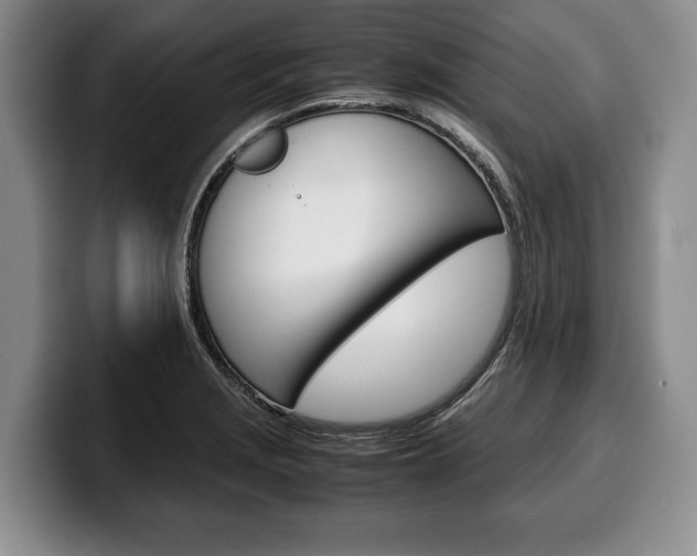 X0000100341229200806051218