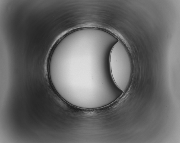 X0000100341230200806051218