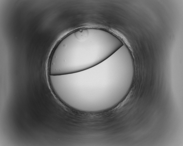 X0000100341231200806051218