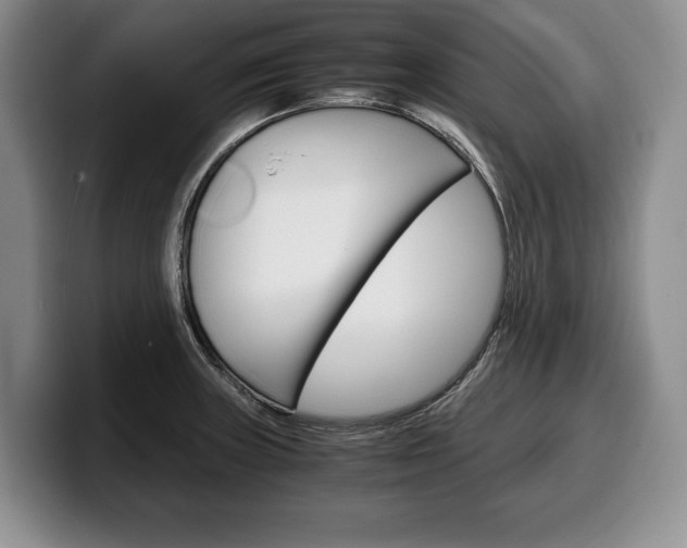 X0000100341235200806051218