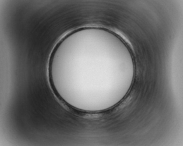 X0000100341237200806051218