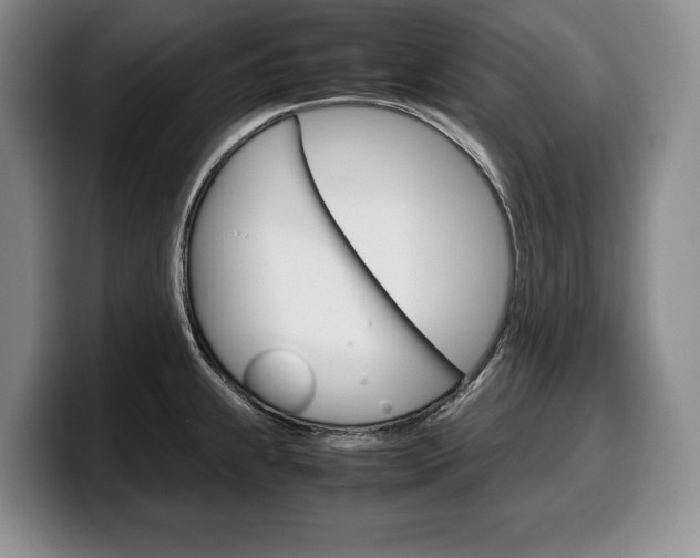 X0000100341239200806051218