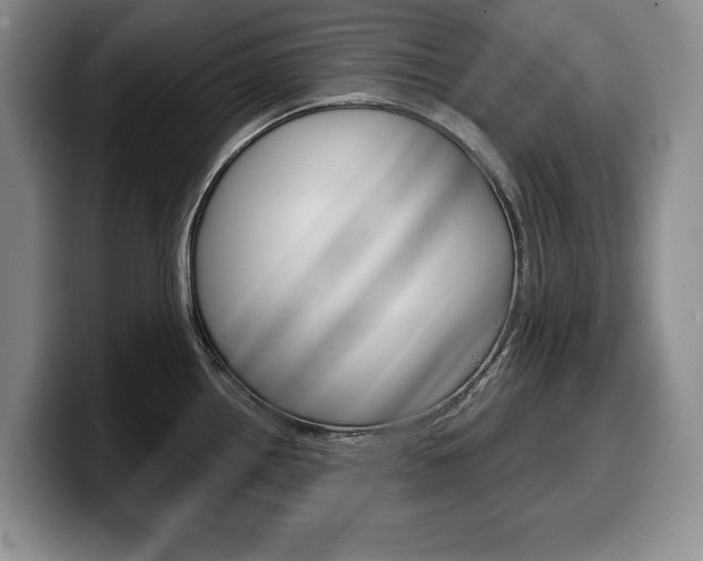X0000100341242200806051218