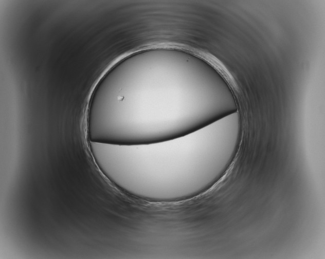 X0000100341244200806051218