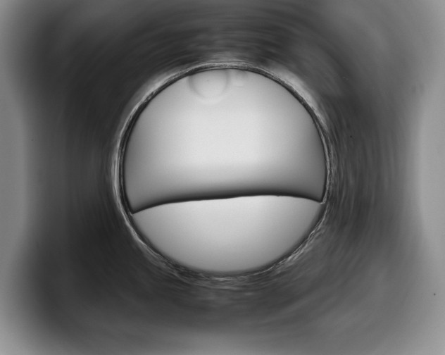 X0000100341245200806051218