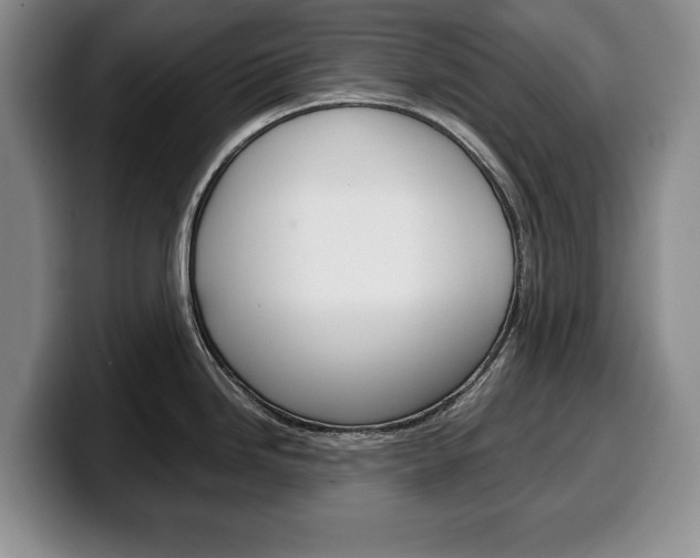 X0000100341246200806051218