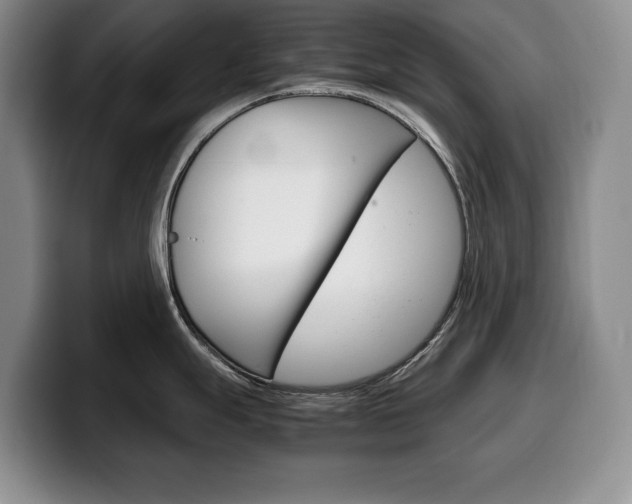 X0000100341247200806051218