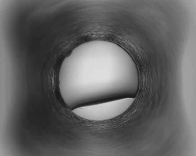 X0000100341250200806051217