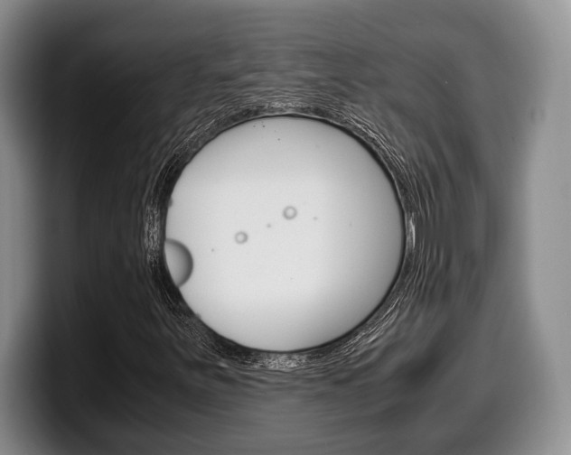 X0000100341251200806051217