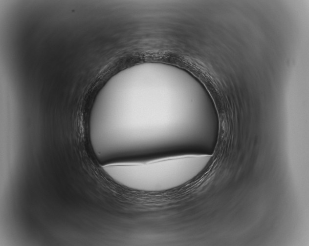 X0000100341252200806051217