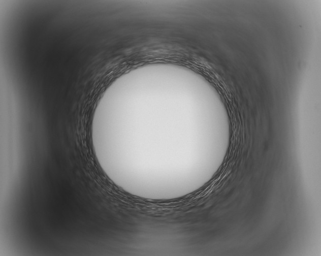 X0000100341253200806051217