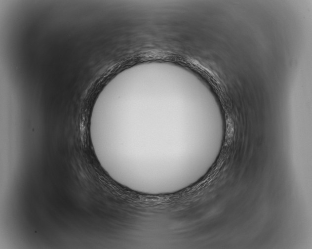 X0000100341254200806051217