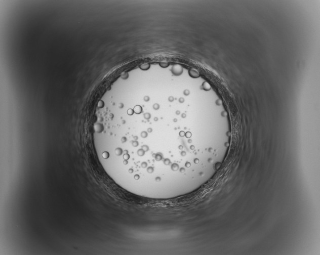 X0000100341255200806051217