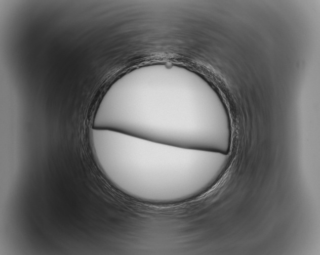 X0000100341257200806051217