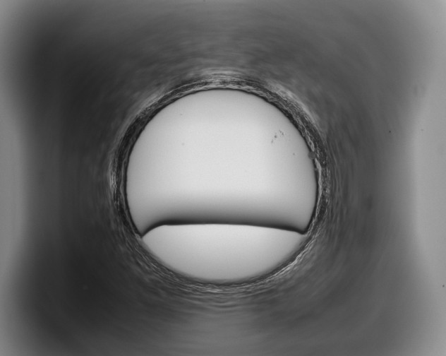 X0000100341261200806051217